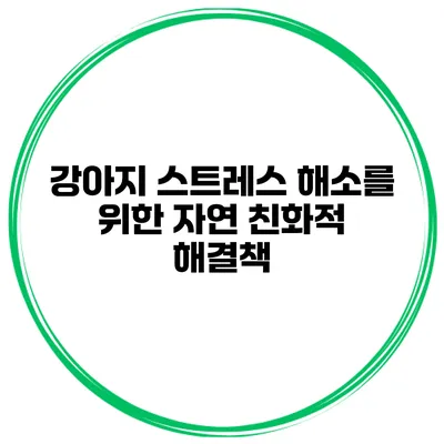 강아지 스트레스 해소를 위한 자연 친화적 해결책