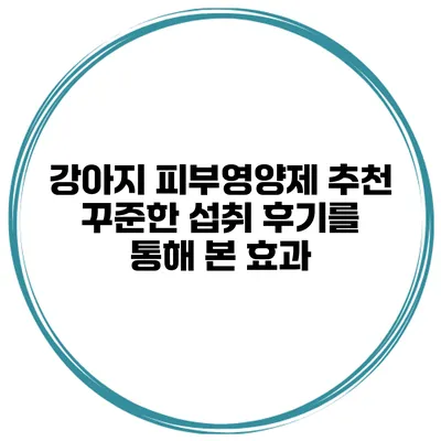 강아지 피부영양제 추천 꾸준한 섭취 후기를 통해 본 효과